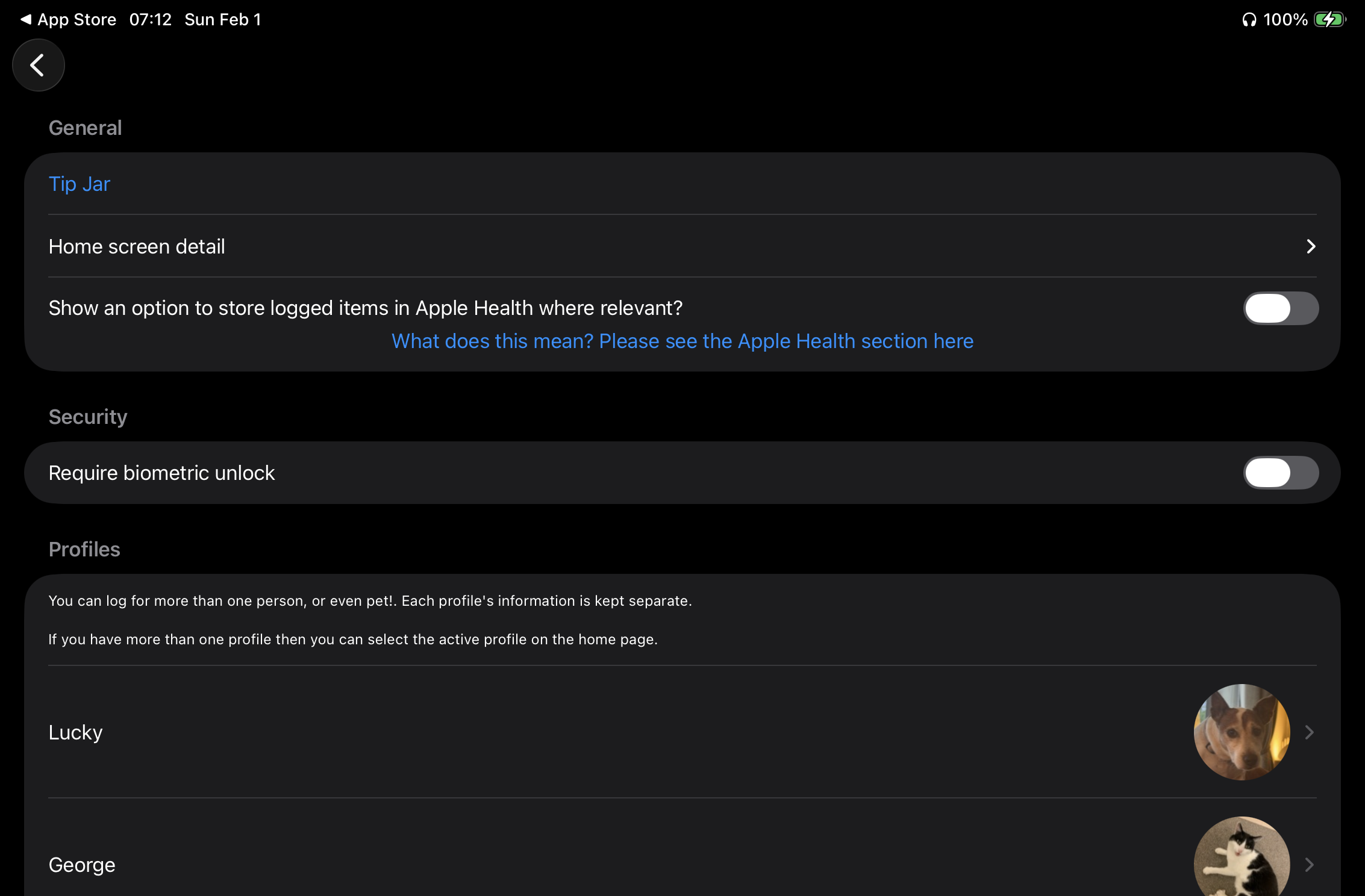iPad settings screen
