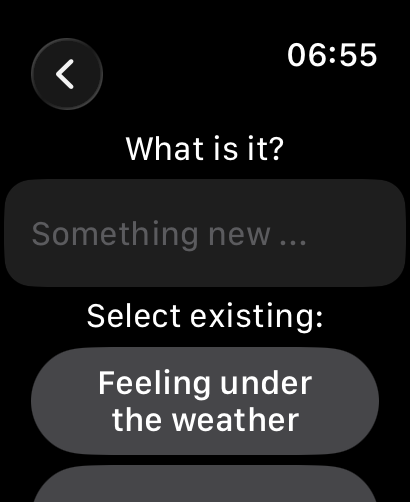Logging on the watch